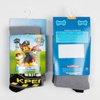 Колготки PAW PATROL "Крепыш", серый, 86-92 см (комплект 5 шт) - фото 27414928