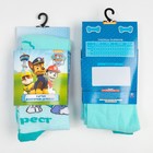 Колготки PAW PATROL "Эверест" мятный, рост -92-98 см 7143560