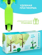 Самокат 2 в 1 GRAFFITI, с корзинкой, колёса PU 120/75 мм, цвет салатовый - Фото 5