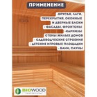 Антисептик против грибка и плесени BIOWOOD GP концентрат 1:1, 10л - Фото 4