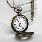 Карманные кварцевые часы «Римские цифры», на цепочке 80 см - Фото 5