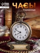 Карманные кварцевые часы «Паровоз», на цепочке 80 см - Фото 1