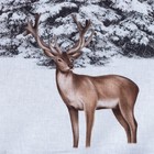 Постельное бельё «Этель» Евро Snow forest 200х215 см, 220х240 см, 70х70 см - 2 шт, поплин - Фото 3