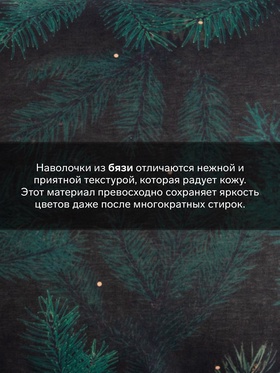 Комплект наволочек «Этель» Winter, 50×70 см, 2 шт., бязь, хлопок 100% Комплект наволочек «Этель» Winter, 50×70 см, 2 шт., бязь, хлопок 100%