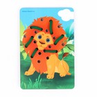 Шнуровка «Царь зверей» - фото 35246124