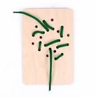 Шнуровка «Царь зверей» - фото 35246126