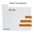 Холст на картоне Calligrata, хлопок 100%, 30×35 см, 3 мм, акриловый грунт, мелкое зерно, 280 г/м² - Фото 2