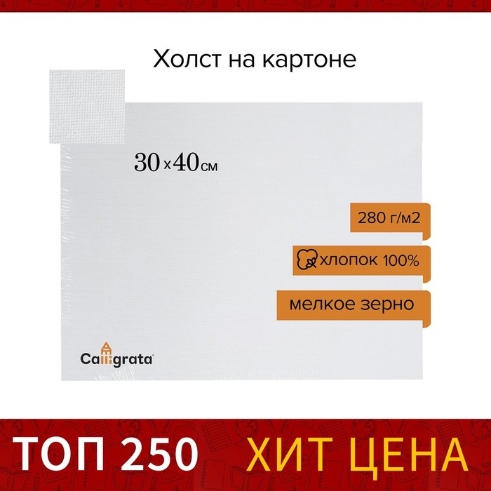 Холст на картоне Calligrata, хлопок 100%, 30 х 40 см, 3 мм, акриловый грунт, мелкое зерно, 280 г/м2 - Фото 1