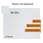 Холст на картоне Calligrata, хлопок 100%, 40×50 см, 3 мм, акриловый грунт, мелкое зерно, 280 г/м² - Фото 2