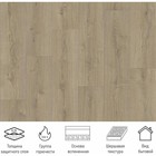 Линолеум бытовой Tarkett Praktika Bruno 1, ширина 2.5 м, толщина 2.5 мм, 30 пог. м - Фото 2