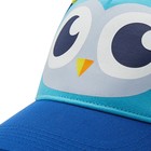 Кепка Head Kids Cap Owl, размер OS (287080-BLLB) - Фото 3