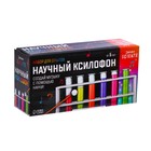 Набор для опытов «Научный ксилофон» 7384528 - фото 12602155