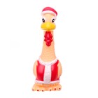 Мялка «Птица» пищит, виды МИКС - Фото 5