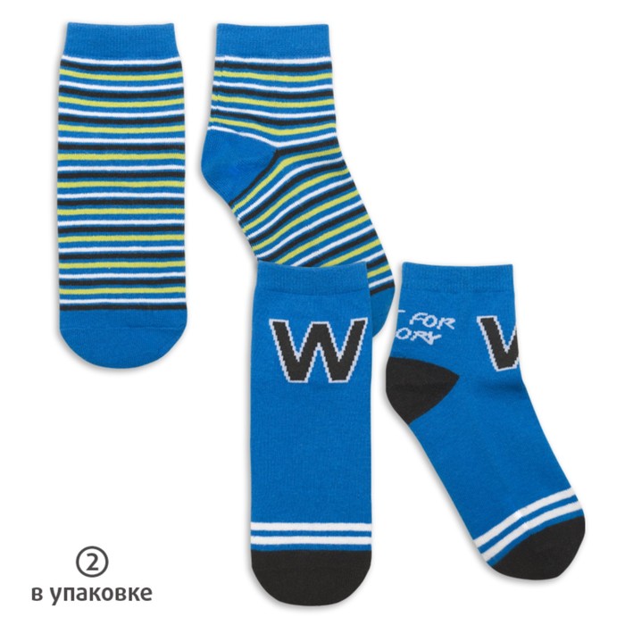 Носки для мальчиков, размер  18/20,  цвет синий/синий 2 шт.