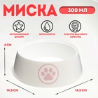 Миска для кошек «Лекси» 0.3 л, 14.5×14.5×4 см, белая - Фото 1