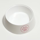 Миска для кошек "Лекси"  0,3 л, 14,5 x 14,5 x 4 см, белая - Фото 2