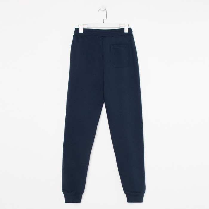 Брюки мужские, цвет тёмно-синий, размер 46 (M) 54397