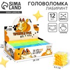 Головоломка лабиринт с шариком «Терпение и труд», МИКС, в шоубоксе - Фото 1