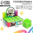 Головоломка лабиринт с шариком «За любой движ», в шоубоксе - Фото 1