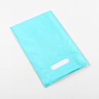 Пакет полиэтиленовый с вырубной ручкой, Бирюзовый 20-30 См, 50 мкм (50 шт) - фото 809299037