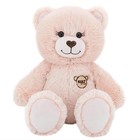 Мягкая игрушка «Медведь», 3 открытки, цвет пудровый, 65 см - фото 298695962