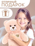 Мягкая игрушка «Медведь», в комплекте 3 открытки, пудровый, 40 см (65 см) - Фото 4