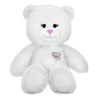 Мягкая игрушка «Медведь», 3 открытки, цвет белый, 65 см - Фото 1