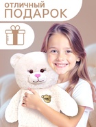 Мягкая игрушка «Медведь», в комплекте 3 открытки, белый, 40 см (65 см) - Фото 4