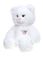 Мягкая игрушка «Медведь», в комплекте 3 открытки, белый, 40 см (65 см) - Фото 9