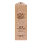 Набор первоклассника, 50 предметов, ЛУЧ «Школа творчества», в картонной коробке - Фото 5