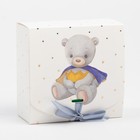 Подарочный набор полотенец Этель «Медвежонок Митчелл», 30х30 см-2шт, 100% хлопок 7371581