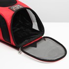 Рюкзак для переноски животных «Кусь, кусь, кусь» 31х23х30 см - фото 21604997