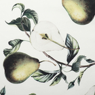 Кухонный набор «Этель. Груши»: полотенце 40×73 см, прихватка 19×19 см, фартук 60×65 см - Фото 4