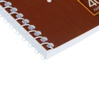 Альбом для рисования А4, 40 листов на гребне Doggie-щенки, обложка мелованный картон, блок 100 г/м², МИКС - Фото 2