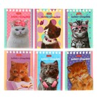 Блокнот А7, 40 листов на гребне «Котята», обложка мелованный картон - Фото 1