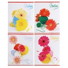 Тетрадь 48 листов в клетку "Цветочки и клубочки", обложка хром-эрзац, блок типа "D", (белизна 82%), МИКС (комплект 3 шт) - фото 21605877