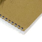 Тетрадь А4, 96 листов в клетку на гребне «Времена года», обложка крафт-картон, МИКС - Фото 3