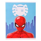 Тетрадь в линейку 12 листов, 4 вида МИКС, обложка мелованная бумага, «Человек-паук» - Фото 6