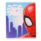 Тетрадь в линейку 12 листов, 4 вида МИКС, обложка мелованная бумага, «Человек-паук» - Фото 3