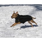 Флисовая куртка Dog Gone Smart Olympia Softshell Puffy, р 20, чёрная - Фото 2