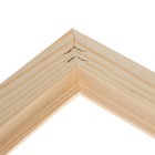 Рама для картин (зеркал) 50 х 70 х 2,6 см, дерево, Linda, некрашенное дерево (подходит для декорирования) - фото 24454755