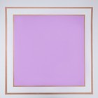 Пленка флористическая, фиолетовая, 58 х 58 см, 50 мкм - Фото 2