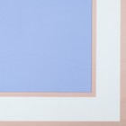 Пленка для цветов и букетов, матовая, голубая, 58×58 см, 50 мкм - Фото 4