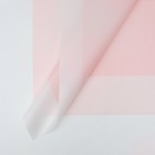 Пленка матовая, розовая, прозрачная, 58 х 58 см - фото 318894772