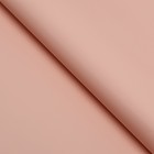 Пленка матовая, лотос, серая, 58 х 58 см - Фото 1