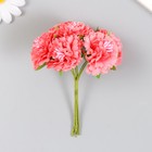 Цветы для декорирования "Астра коралловая" 1 букет=6 цветов 10 см - фото 110465656