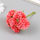Цветы для декорирования «Астра коралловая» 1 букет=6 цветов 10 см 7488741