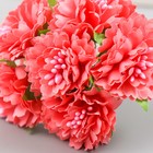 Цветы для декорирования «Астра коралловая» 1 букет=6 цветов 10 см 7488741