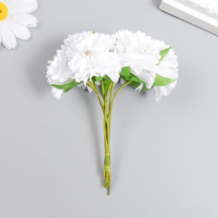 Цветы для декорирования Астра белая 1 букет=6 цветов 10 см