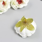 Бутон на ножке для декорирования "Пион молочно-белый" d=4 см 7488808